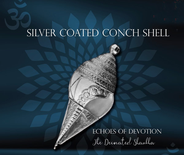 Silver coated Conch Shell